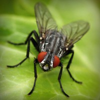 /album/direction-cap-nord-%28su%c3%a8de%29-/photolia-a01-jpg/