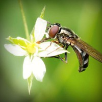 /album/direction-cap-nord-%28su%c3%a8de%29-/photolia-a02-jpg/