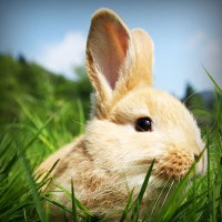 /album/direction-cap-nord-%28su%c3%a8de%29-/photolia-a03-jpg/