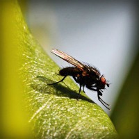 /album/direction-cap-nord-%28su%c3%a8de%29-/photolia-a04-jpg/