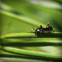 /album/direction-cap-nord-%28su%c3%a8de%29-/photolia-a05-jpg/