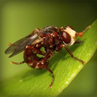 /album/direction-cap-nord-%28su%c3%a8de%29-/photolia-a06-jpg/