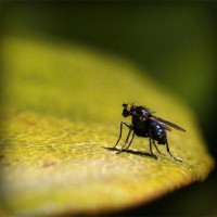 /album/direction-cap-nord-%28su%c3%a8de%29-/photolia-a07-jpg/