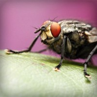 /album/direction-cap-nord-%28su%c3%a8de%29-/photolia-a08-jpg/