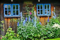 /album/direction-cap-nord-%28su%c3%a8de%29-/suede1-jpg/